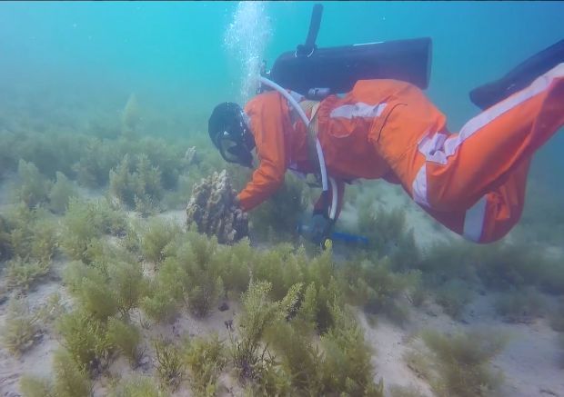 J9旗舰厅(中国区)官方网站