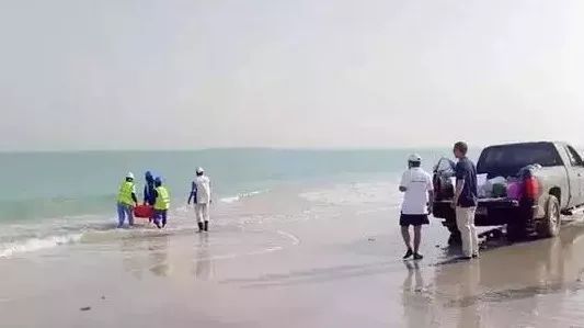 J9旗舰厅(中国区)官方网站