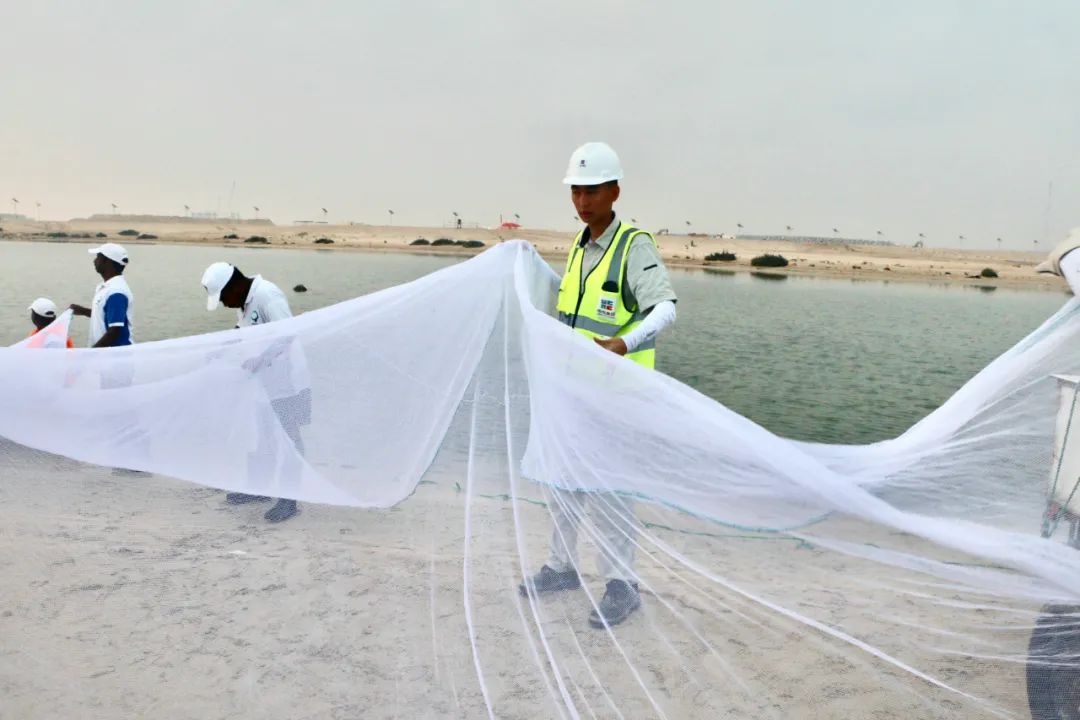 J9旗舰厅(中国区)官方网站