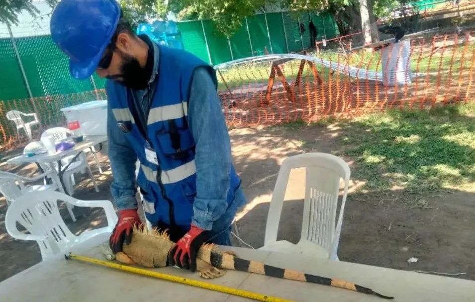 J9旗舰厅(中国区)官方网站