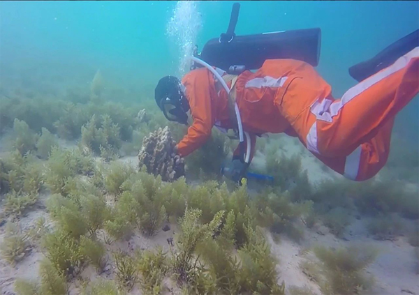 J9旗舰厅(中国区)官方网站