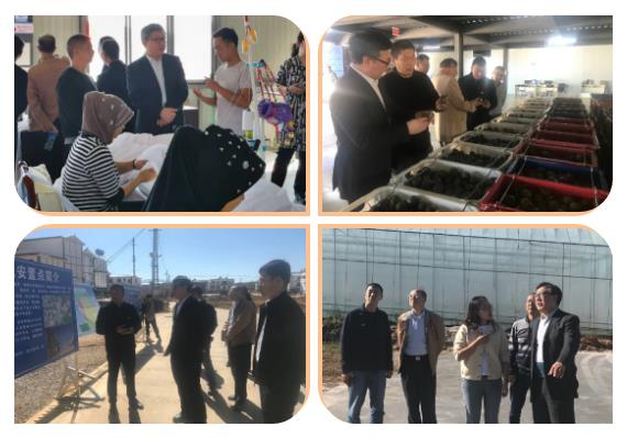 J9旗舰厅(中国区)官方网站