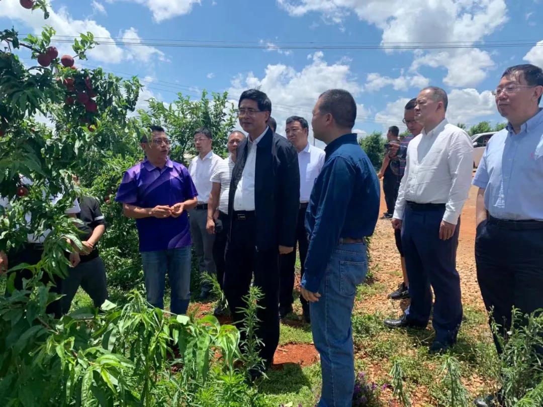 J9旗舰厅(中国区)官方网站