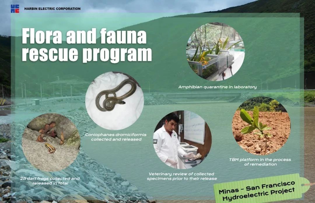 J9旗舰厅(中国区)官方网站