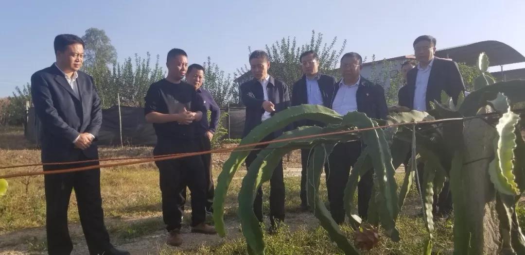 J9旗舰厅(中国区)官方网站