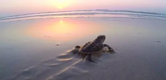 J9旗舰厅(中国区)官方网站