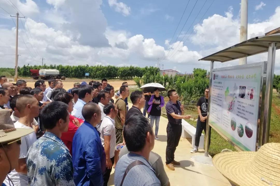 J9旗舰厅(中国区)官方网站