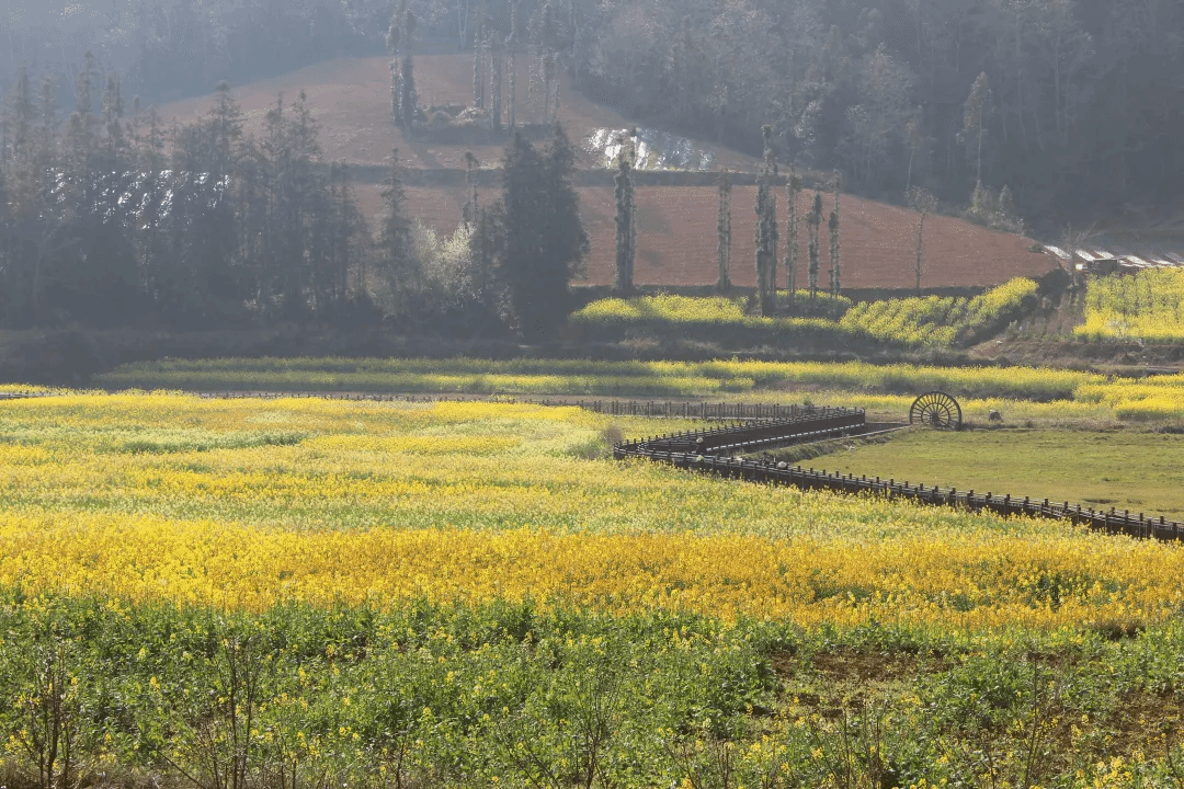 J9旗舰厅(中国区)官方网站